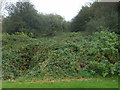 Football Pitch View