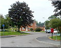 Southern side of Dolau Br?n, Llandovery