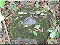 Ordnance Survey Fundamental Bench Mark