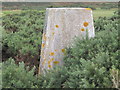 Triangulation Pillar S7218 at Strathlene Golf Course