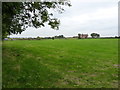 Across the fields towards Home Farm