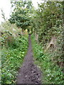 The narrow part of Church Lane