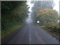 NZ0888 : Minor road towards Longwitton by JThomas