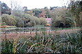 Lake in Rushmere Park