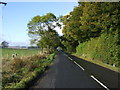 Minor road towards Elsdon