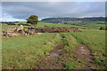 Farmland near Wolvesnewton