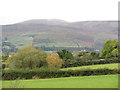 Autumn colours north of Corcreaghan Road