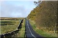 Minor road towards Elsdon 