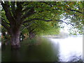 Flooding at Old Deer Park Recreation Ground