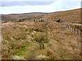 NS8212 : Southern Upland way above Coupland Knowe by Oliver Dixon