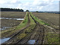 Farm track near Thornton Moor