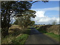 Lane heading north towards Thornton Moor