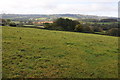 Farmland near Itton Common