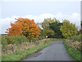 SP9337 : Autumn colours near Aspley Guise by Malc McDonald