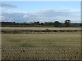 NZ1585 : Farmland, Broomy Hills by JThomas