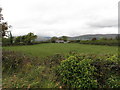 Farmland on the north side of Corcreaghan Road