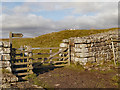 NY7968 : Hadrian's Wall, Knag Burn Gate by David Dixon