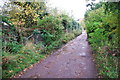 Ford at Earsham Mill