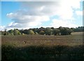 Ploughed field on the outskirts of Hillsborough