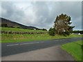 Looking across the A710 to Criffel Birks