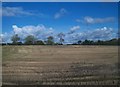 Harvested field east of the Windmill Road junction