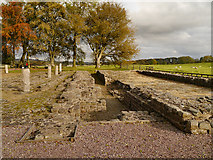 NY6166 : Remains of Roman Fort, Birdoswald by David Dixon