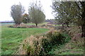 Brook meandering across a field