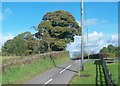 Spirehill Road near its junction the B77 (Ballynahinch) road