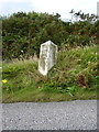 The Parc Erissey milestone - detail