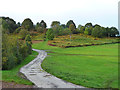 Roadway on Bringsty Common