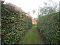 Footpath from the church, Kirkburn