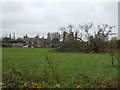 Fallen tree in front of Hayne Barton