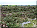 Wheal Peevor - 3 buddles from near the calciner ruins