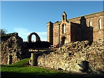 NT9065 : Looking over the ruins at Coldingham Priory by James Denham