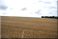 Field of stubble