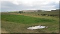 Arable land, Belford Mains