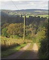 Farm road from Common Lane