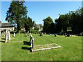 An early morning visit to All Saints, Dewlish (C)