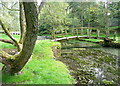 Bridge over Sherborne Brook