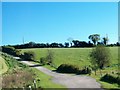 Farm lane leading from the Killyleagh Road