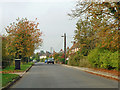 Three Elm Lane, Golden Green