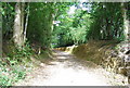 Bridleway near Little Burgate Farm