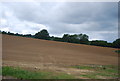 SU9839 : Fallow field, Little Burgate Farm by N Chadwick