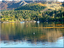 NG8033 : Boats moored off Plockton by Dave Fergusson