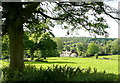 Pasture north of Sherborne