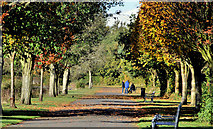 J3675 : Path, Victoria Park, Belfast (1) by Albert Bridge