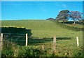 Hilly farmland west of Crawfordstown Road