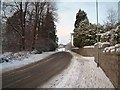 Haugh Road looking north