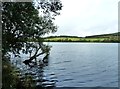 Loch Arthur looking northwest