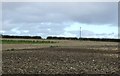 Farmland near County Farm